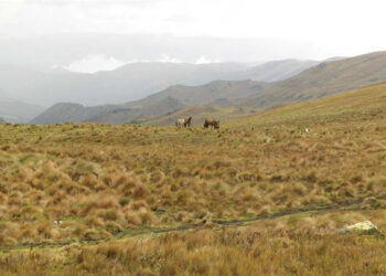 Ecuador proyectos mineros