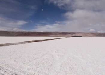 Argentina proyectos mineros