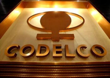 Codelco caso seguros