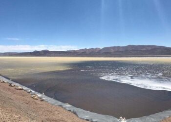 Argentina: Buscan inversores para desarrollar el litio