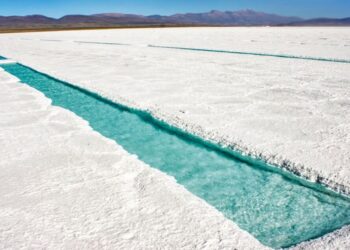 Argentina industria del litio