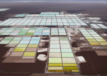Tesla Ganfeng Lithium