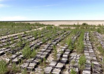 Osisko Metals informa leyes altas de zinc y plomo de Pine Point