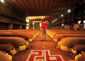 El precio del cobre cae mientras las importaciones de China parecen «lejos de ser alcistas»