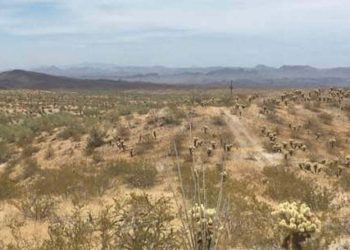 Western Rare Earths obtiene permiso de perforación para el proyecto La Paz en Arizona