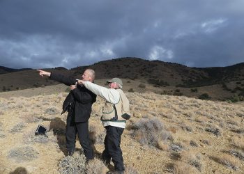 Discovery Harbor se asocia con Newcrest en el proyecto de oro de Nevada, las acciones saltan