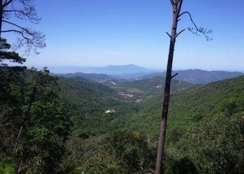 Endeavour Silver aumenta la producción en el primer trimestre de 2021