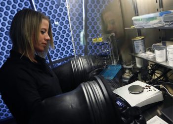 Grafito de grado de ánodo natural para entrar en la carrera EV