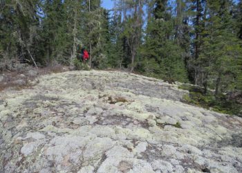 Great Bear alcanza el oro en una sección no probada de falla LP
