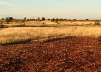 El exjefe de Xstrata crea Vision Blue Resources e invierte en NextSource Materials