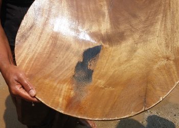 Mueren tres mineros en operación ilegal en Colombia