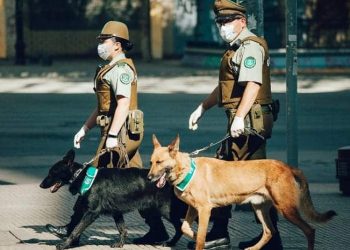 Cobre sube tras cierre de fronteras de Chile
