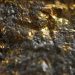 Maverix Metals supera la guía de oro para 2020