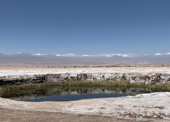 Albemarle enfrenta cargos ambientales en Chile por sobreextracción de salmuera rica en litio