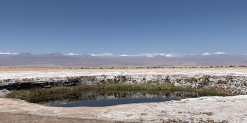 Albemarle enfrenta cargos ambientales en Chile por sobreextracción de salmuera rica en litio