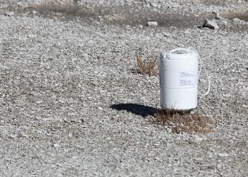 Cómo las 'ondas con fugas' del ruido ambiental pueden revelar lo que hay debajo de la superficie de la tierra