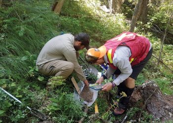 Talisker alcanza múltiples leyes altas en el proyecto Bralorne en BC