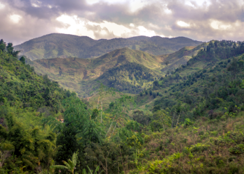 La mina Ambatovy de Madagascar está en camino de entregar 'pérdida neta nula' del bosque circundante