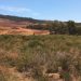 Las bacterias del suelo revelan que se tarda unos 40 años en rehabilitar antiguos sitios mineros