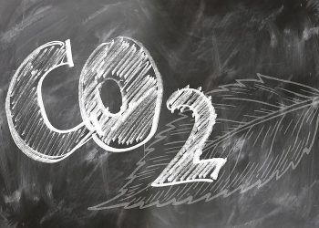 Las bacterias ayudan a producir combustible limpio a partir de CO2 de manera más eficiente