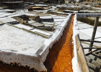 Deshielo de carreteras, la sal extraída daña los ecosistemas de agua dulce