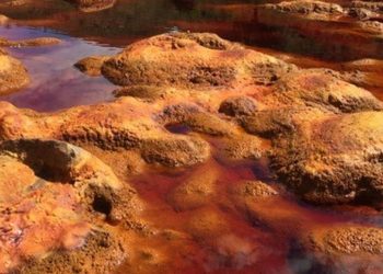 Existe una conexión entre Marte y el estuario de Río Tinto contaminado con metales pesados