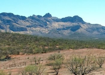 Oro de alta ley en proyecto de Sonoro Gold: Cerro Caliche en México