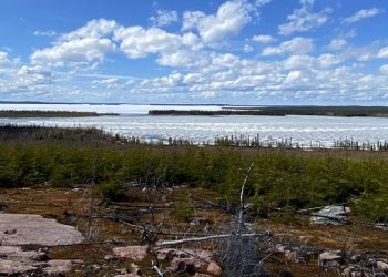 Instantánea de uranio: ocho jóvenes de interés