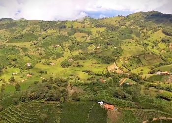 Colombia abrirá activos de oro y carbón a licitación