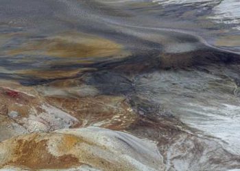 Chile: Las bacterias del suelo reducirían el riesgo de contaminación por metales pesados