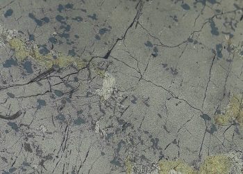 BHP e investigadores universitarios explorarán controles cuatridimensionales en sistemas minerales de níquel