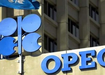 El petroleo cae por las sospechas de la OPEP por la lenta recuperacion de la demanda
