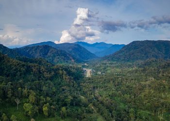Acciones de Solaris Resources suben por nuevo descubrimiento de cobre en Ecuador