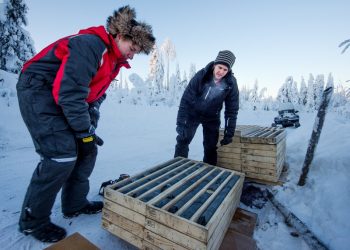 Mawson recibe decisiones clave para el proyecto de oro y cobalto Rajapalot en Finlandia