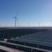 Chile: Un 60% de avance presenta planta híbrida eólica y solar que se desarrolla en Calama