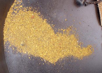 Beauce Gold Fields busca una fuente de roca dura para un campamento de placer en Quebec