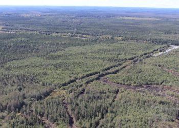 Canada Nickel logra un préstamo de $ 10 millones con Auramet