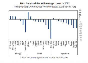 La mayoría de los precios de las materias primas tendrán un promedio más bajo en 2022: informe