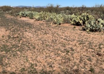 Hudbay publica estimación inicial para Copper World, cerca de Rosemont en Arizona