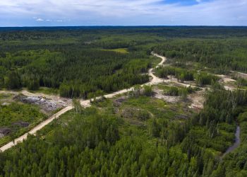 Kinross Gold comprará Great Bear por 1.420 millones de dólares