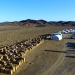 Erdene obtiene aprobación ambiental clave, comienza el trabajo temprano en Bayan Khundii en Mongolia