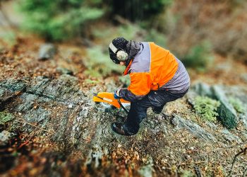 Satori corta 5,8 m con 47 g/t de oro en una nueva zona en Tartan Lake