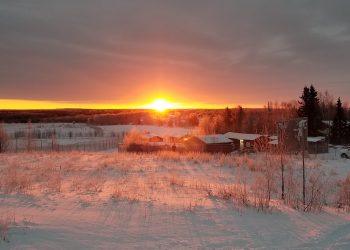 Instantánea de Quebec: Ocho exploradores en busca de oportunidades de oro y metales verdes