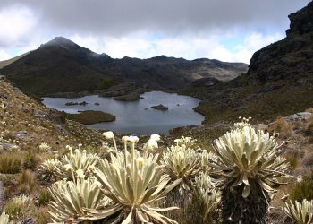 Asociación Colombiana de Minería establece estándar de minería sustentable