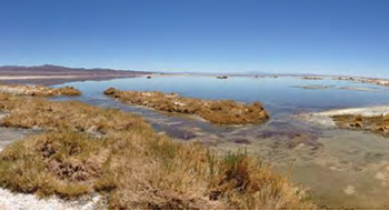 Chile: Ingresan nueva demanda por daño ambiental contra Minera Escondida