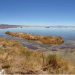 Chile: Ingresan nueva demanda por daño ambiental contra Minera Escondida