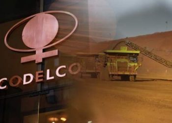 Codelco enfrenta nuevo proceso judicial en Ecuador por proyecto minero que amenaza ecosistema frágil con especies en peligro Minería