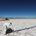 Litio en Perú: American Lithium inicia trabajo ambiental para estudio de prefactibilidad en Flachani