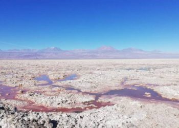 Chile: Comunidades indígenas acusan ardid legal del Ministerio de Minería tras rechazo de recurso para frenar licitación del litio
