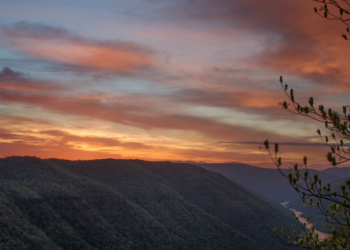 La minería de carbón en la cima de una montaña amenaza la biodiversidad de los Apalaches